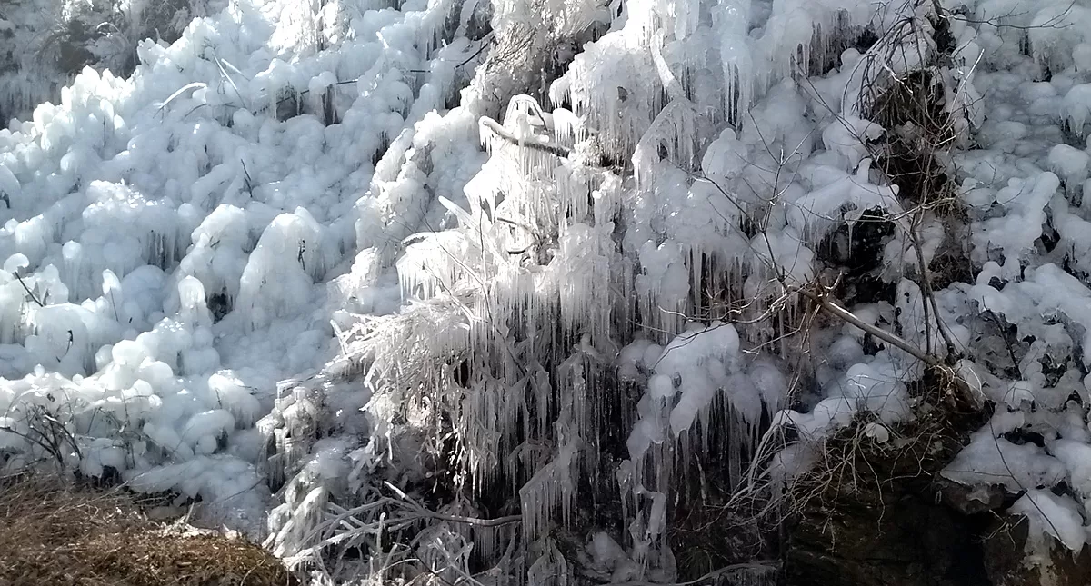 あしがくぼの氷柱,Ashi ga ku bo no tsurara,Icicles of Ashigakubo
