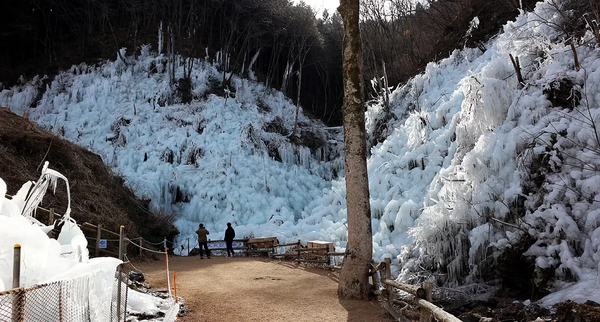 あしがくぼの氷柱,Ashi ga ku bo no tsurara,Icicles of Ashigakubo