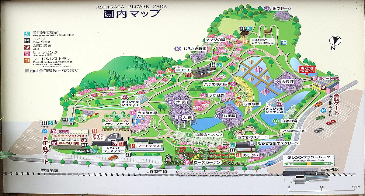 足利フラワーパーク,アシカガフラワーパーク, Ashikaga Flower Park, Ashikaga City,Tochigi Prefecture, Free parking,無料駐車場,虫,insect,bug
