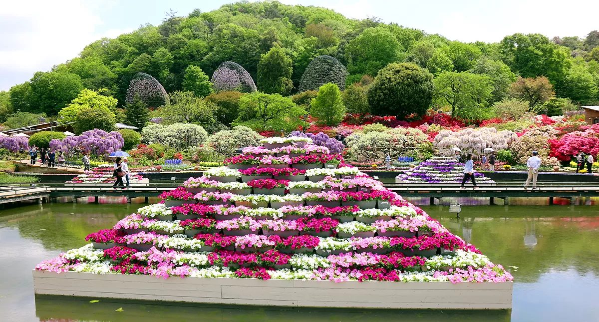 足利フラワーパーク,アシカガフラワーパーク, Ashikaga Flower Park, Ashikaga City,Tochigi Prefecture, Free parking,無料駐車場,虫,insect,bug