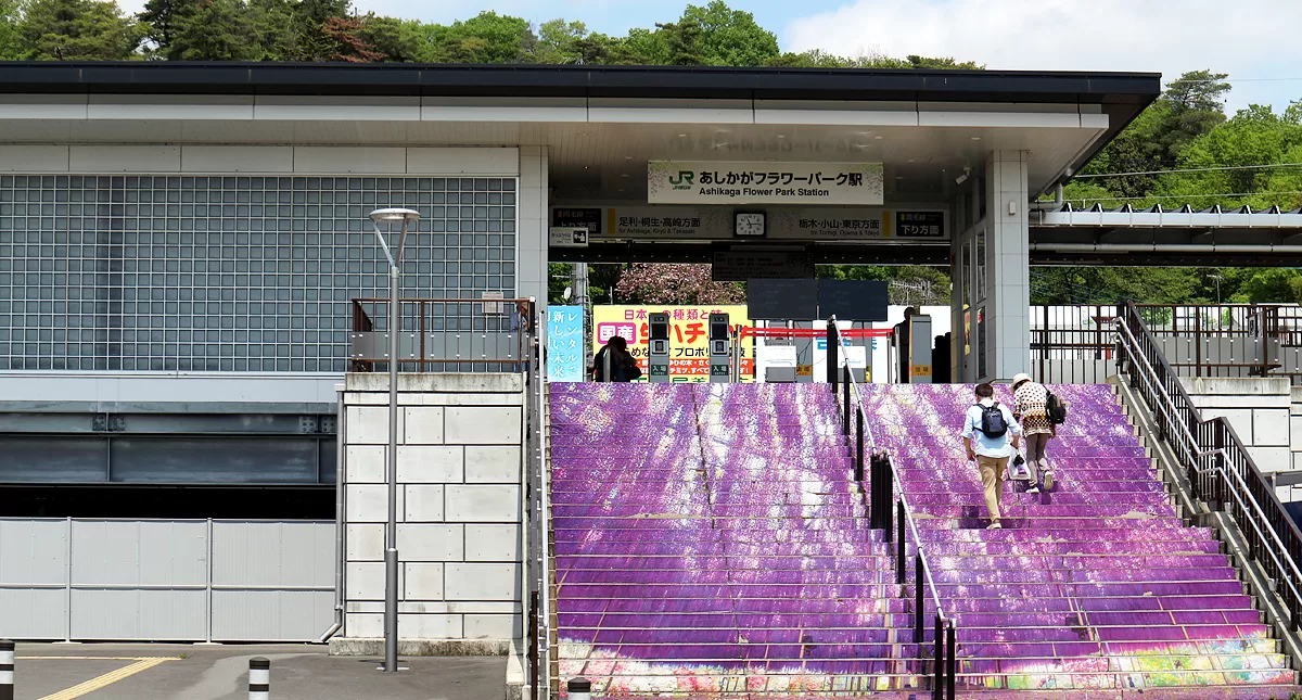 足利フラワーパーク,アシカガフラワーパーク, Ashikaga Flower Park, Ashikaga City,Tochigi Prefecture, Free parking,無料駐車場,虫,insect,bug