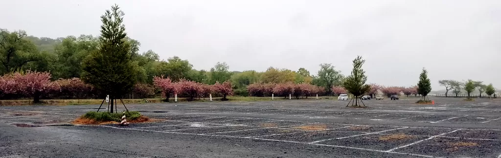 Ashikaga Flower Park,ashikaga_flower_park_free_parking_01,Free parkingm無料駐車場