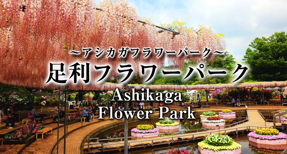 足利フラワーパーク,アシカガフラワーパーク,
Ashikaga Flower Park,
Ashikaga City,Tochigi Prefecture,