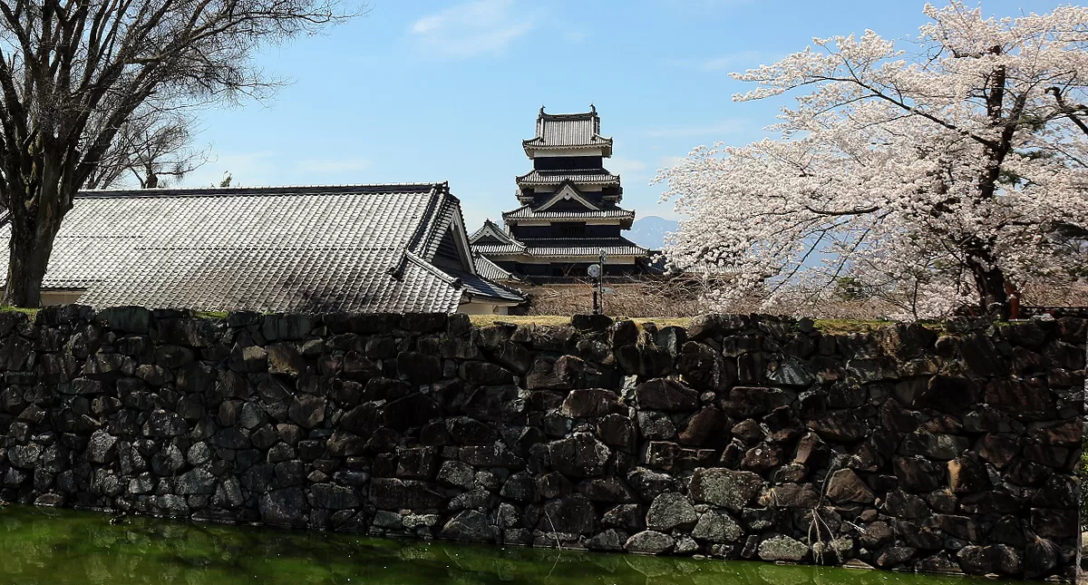 松本城,Matsumoto Castle,マツモトジョウ,長野県,Nagano Prefecture,桜,Sakura