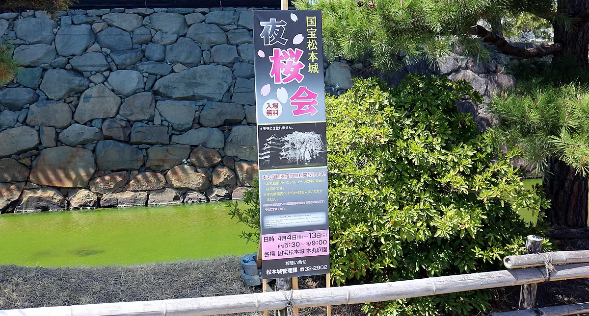 松本城,Matsumoto Castle,マツモトジョウ,長野県,Nagano Prefecture,桜,Sakura