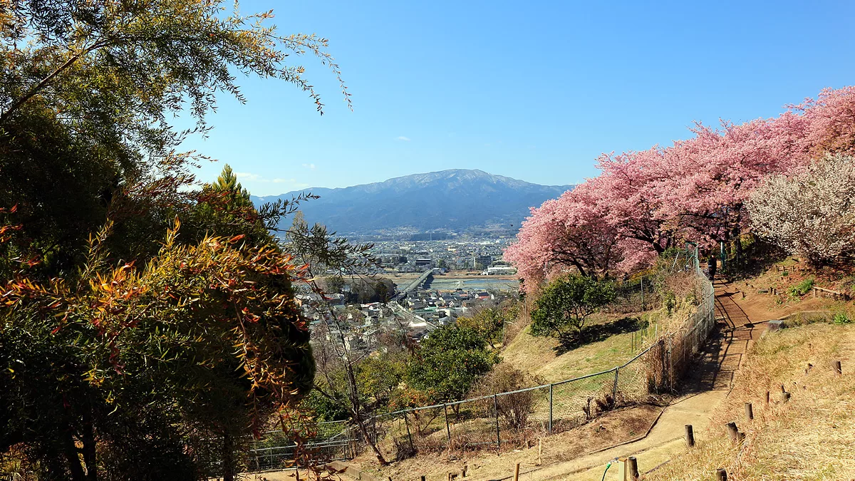 Nishihirabatake Park,ニシヒラバタケコウエン,西平畑公園