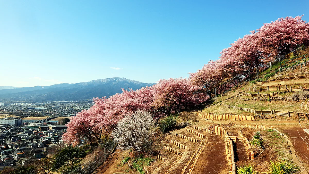 Nishihirabatake Park,ニシヒラバタケコウエン,西平畑公園