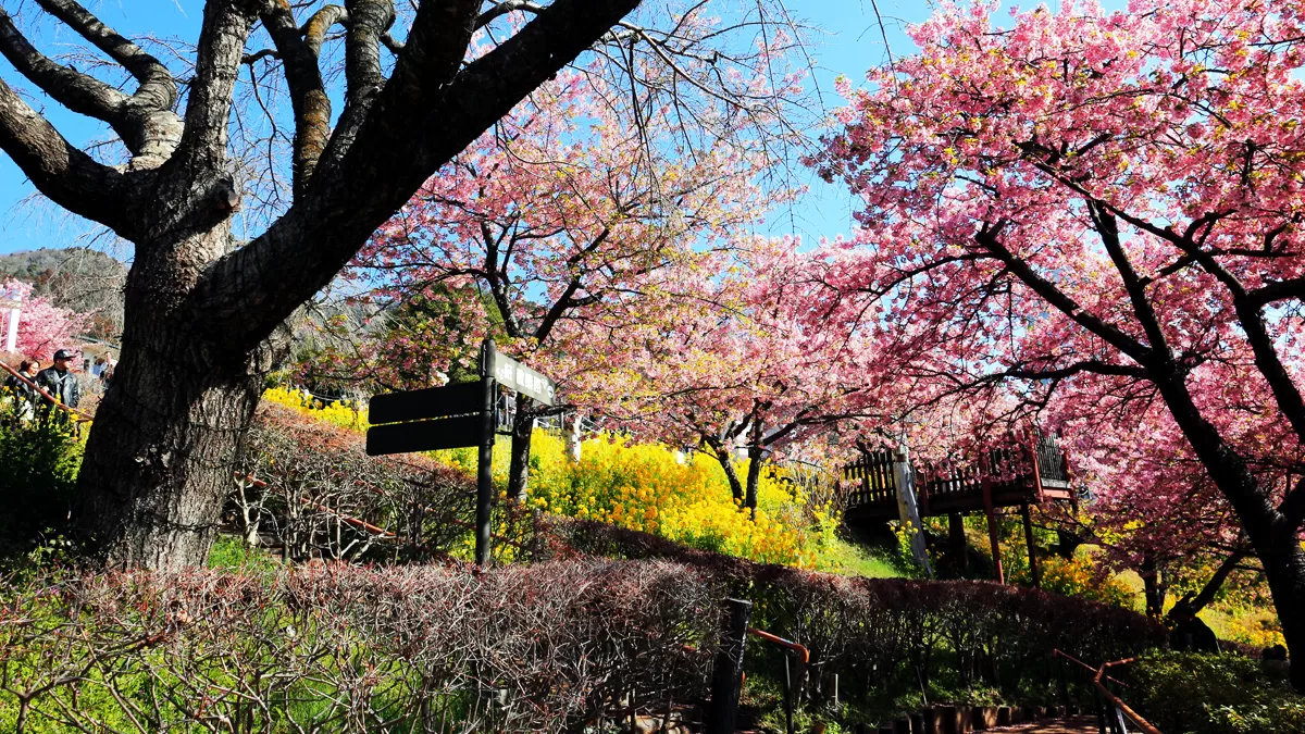 Nishihirabatake Park,ニシヒラバタケコウエン,西平畑公園