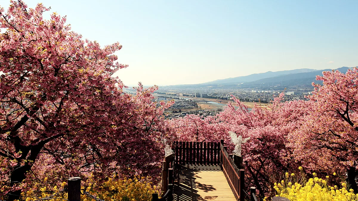 Nishihirabatake Park,ニシヒラバタケコウエン,西平畑公園