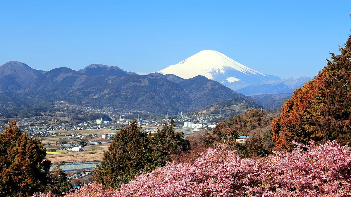神奈川県足柄上郡松田町：西平畑公園,ニシヒラバタケコウエン, Nishihirabatake Park