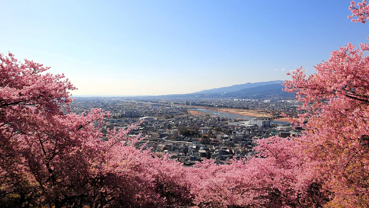 Nishihirabatake Park,ニシヒラバタケコウエン,西平畑公園,Fujisan,富士山
