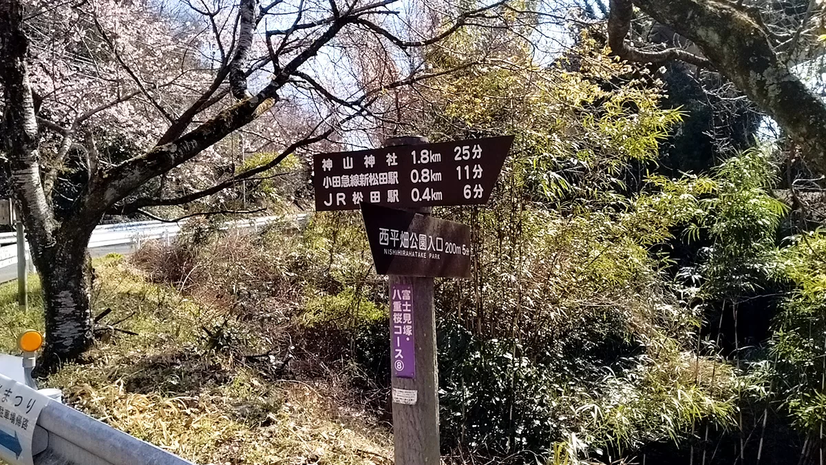 Nishihirabatake Park,ニシヒラバタケコウエン,西平畑公園,Fujisan,富士山