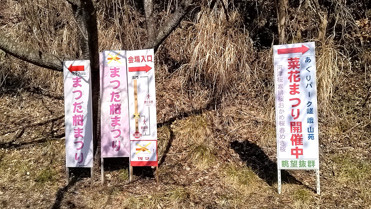 Nishihirabatake Park,ニシヒラバタケコウエン,西平畑公園,Fujisan,富士山