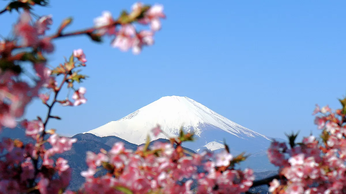 Nishihirabatake Park,ニシヒラバタケコウエン,西平畑公園,Fujisan,富士山