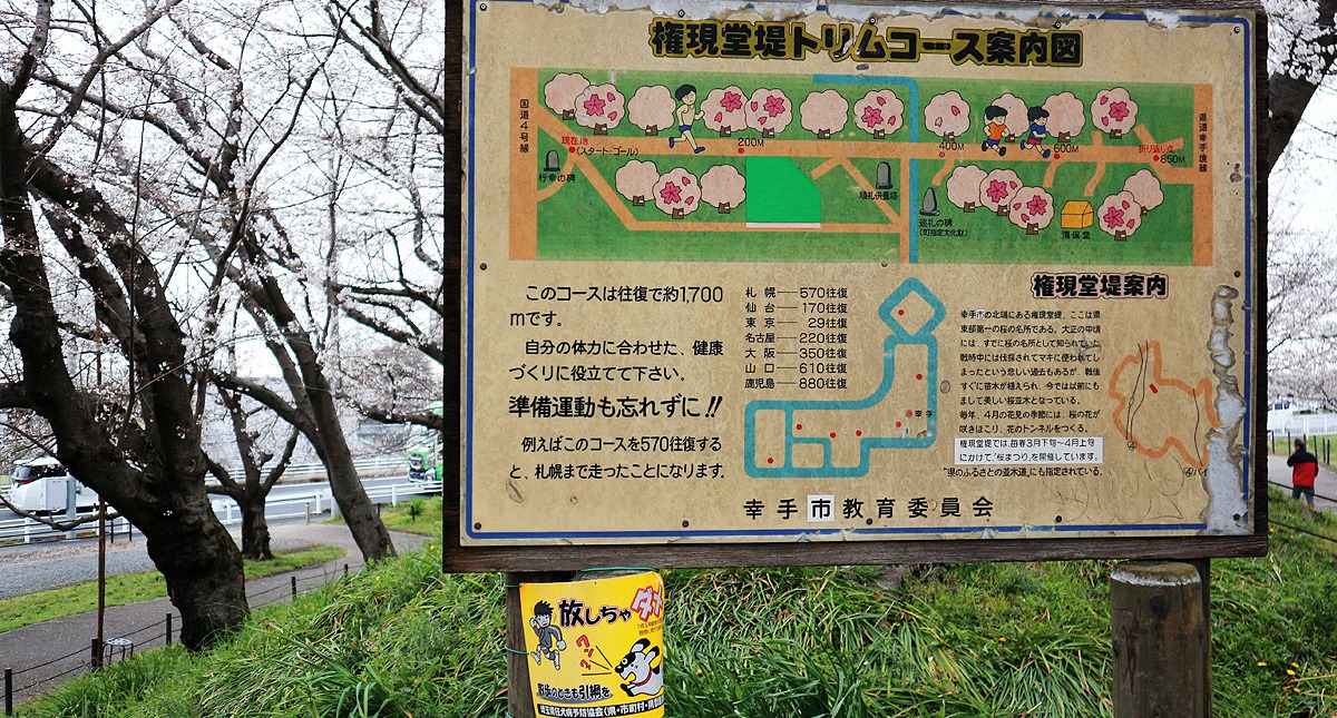 Saitama,Prefecture,Gongendo Park, 埼玉県,権現堂公園,ゴンゲンドウコウエン,曇り,cloudy