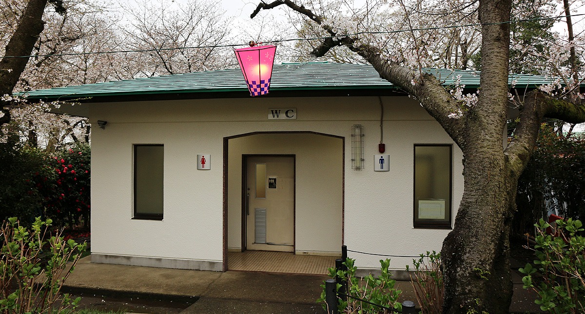 Saitama,Prefecture,Gongendo Park, 埼玉県,権現堂公園,ゴンゲンドウコウエン,曇り,cloudy