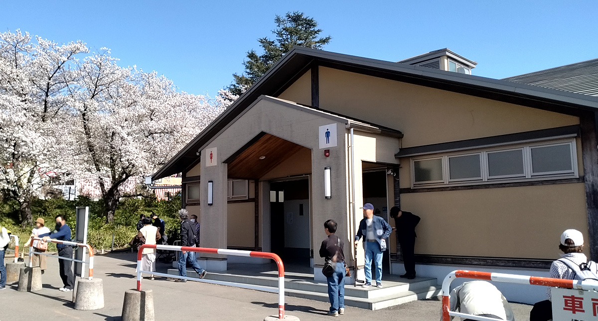 Saitama,Prefecture,Gongendo Park, 埼玉県,権現堂公園,ゴンゲンドウコウエン,晴れ,sunny