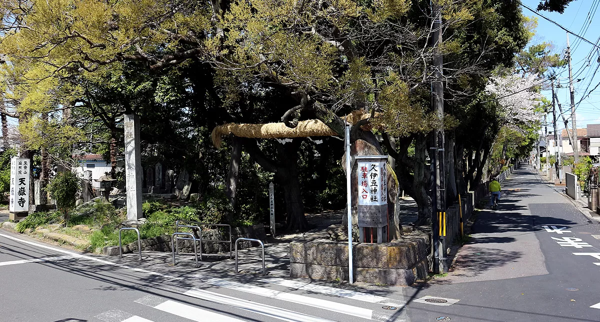 shrine,ジンジャ,神社,埼玉県,越谷市,久伊豆神社,ヒサイズジンジャ,Koshigaya,Saitama,Koshigaya,Hisaizujinja,