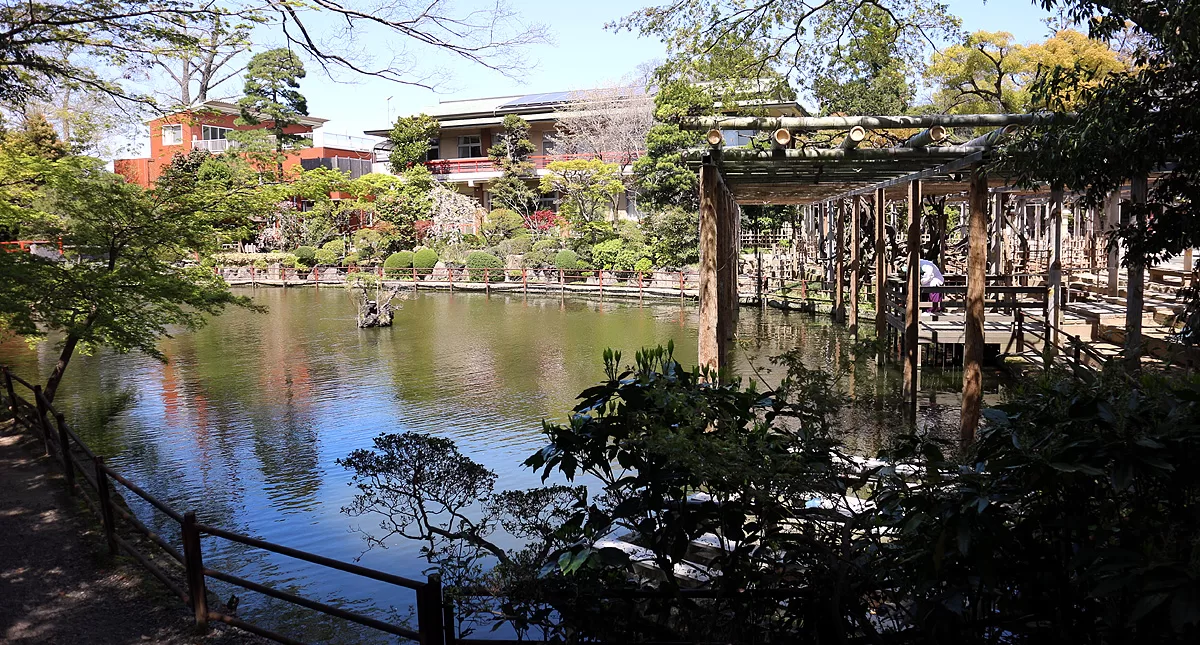 shrine,ジンジャ,神社,埼玉県,越谷市,久伊豆神社,ヒサイズジンジャ,Koshigaya,Saitama,Koshigaya,Hisaizujinja,