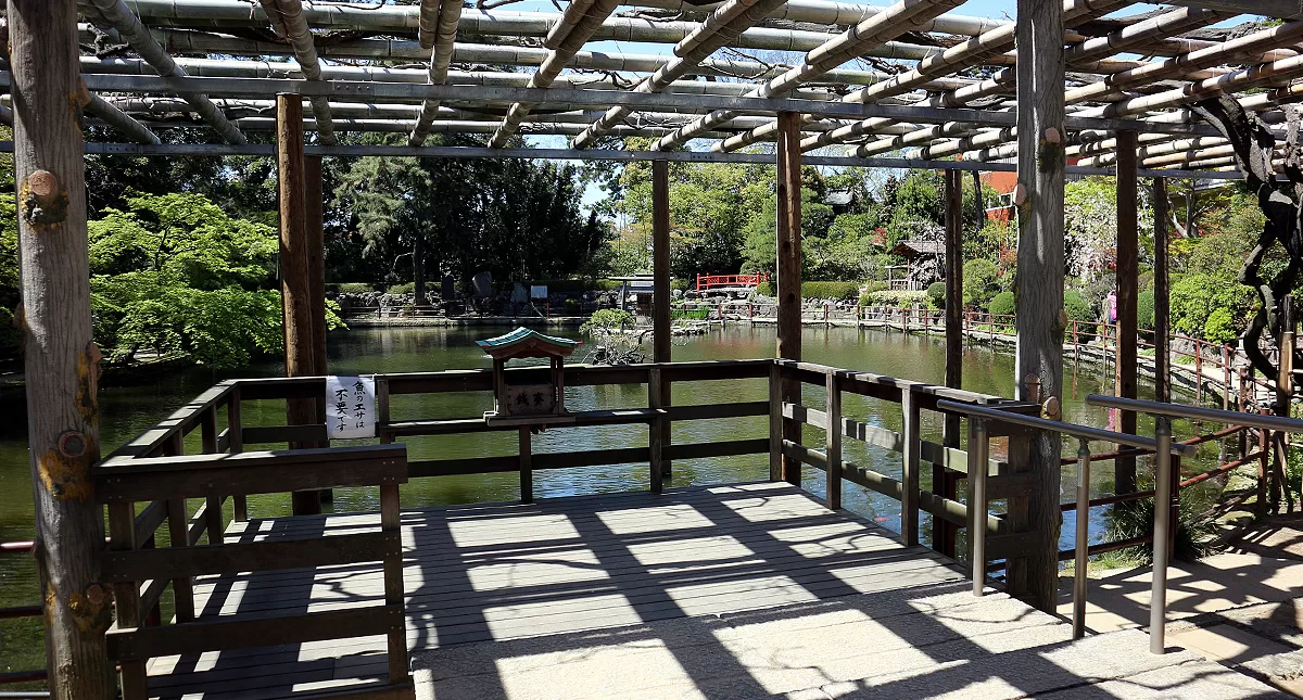 shrine,ジンジャ,神社,埼玉県,越谷市,久伊豆神社,ヒサイズジンジャ,Koshigaya,Saitama,Koshigaya,Hisaizujinja,