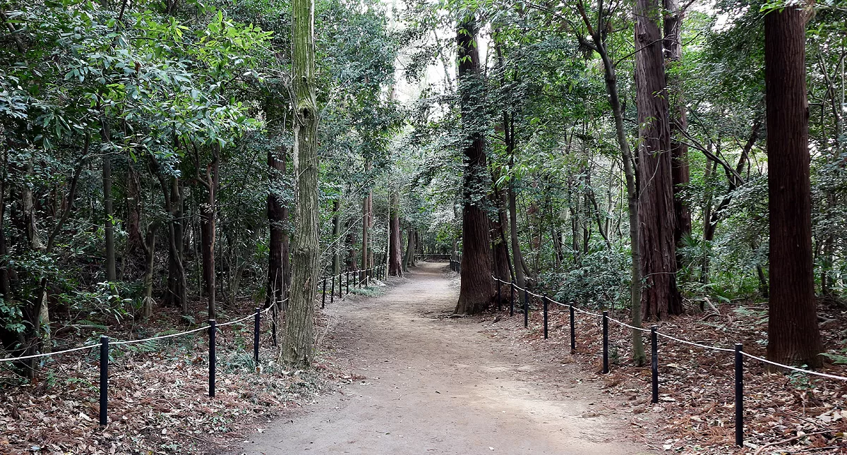 Kuki City,Saitama,Washinomiya,Shrine, 埼玉県,久喜市,鷲宮神社,ワシノミヤジンジャ