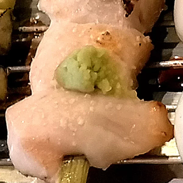 ささみ,Sasami,wasabi,
山葵,yakitori,焼き鳥,やきとり,Grilled Chicken