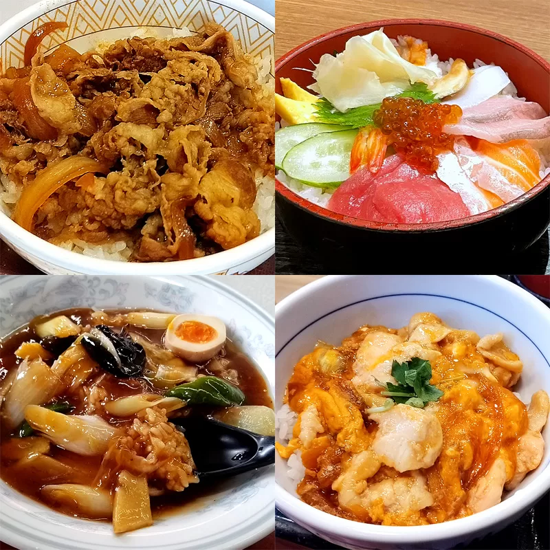 Rice bowl,food,Donburi,丼,どんぶり,ドンブリ