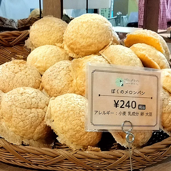 Michinoeki,Joso,Roadside Station,道の駅,常総,茨城県,Ibaraki