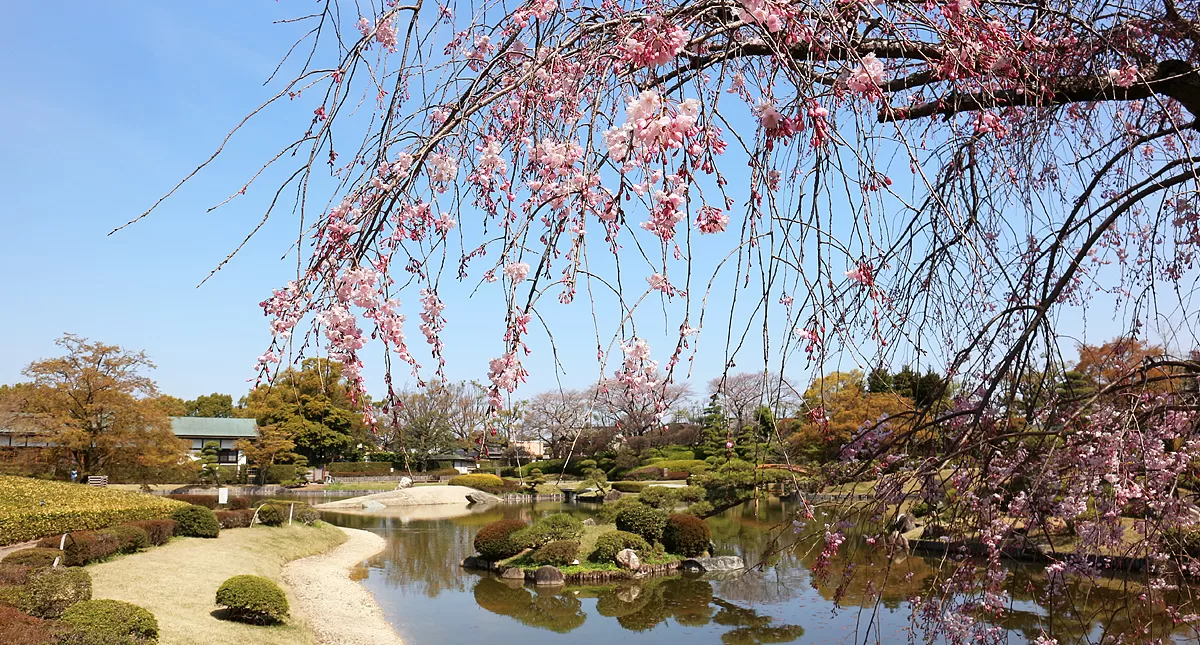 Japanese Garden,越谷市,日本庭園,Hanataen,花田苑 Japanese Garden,越谷市,日本庭園,Hanataen,花田苑