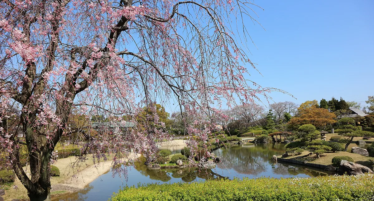 Japanese Garden,越谷市,日本庭園,Hanataen,花田苑 Japanese Garden,越谷市,日本庭園,Hanataen,花田苑
