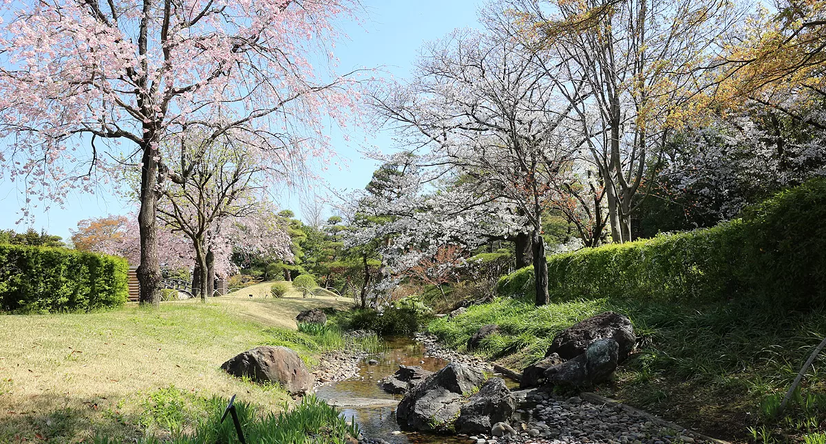 Japanese Garden,越谷市,日本庭園,Hanataen,花田苑 Japanese Garden,越谷市,日本庭園,Hanataen,花田苑