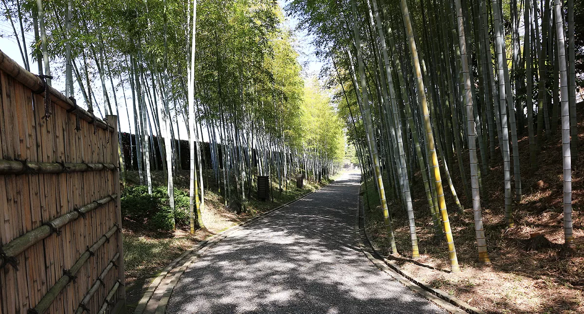 Japanese Garden,越谷市,日本庭園,Hanataen,花田苑 Japanese Garden,越谷市,日本庭園,Hanataen,花田苑