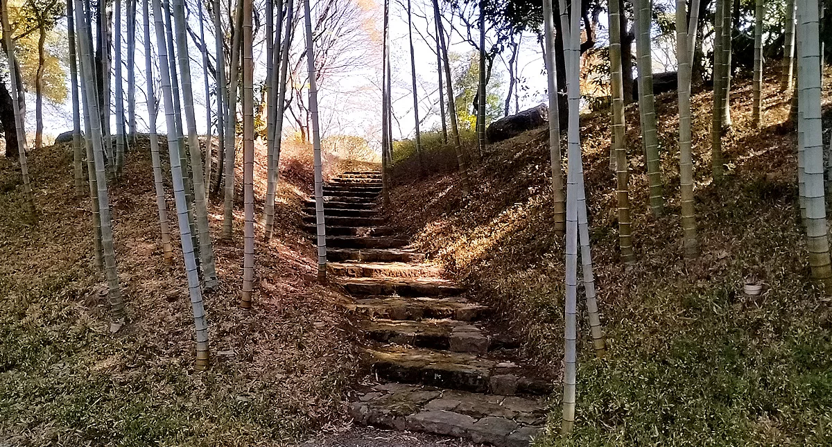Japanese Garden,越谷市,日本庭園,Hanataen,花田苑 Japanese Garden,越谷市,日本庭園,Hanataen,花田苑