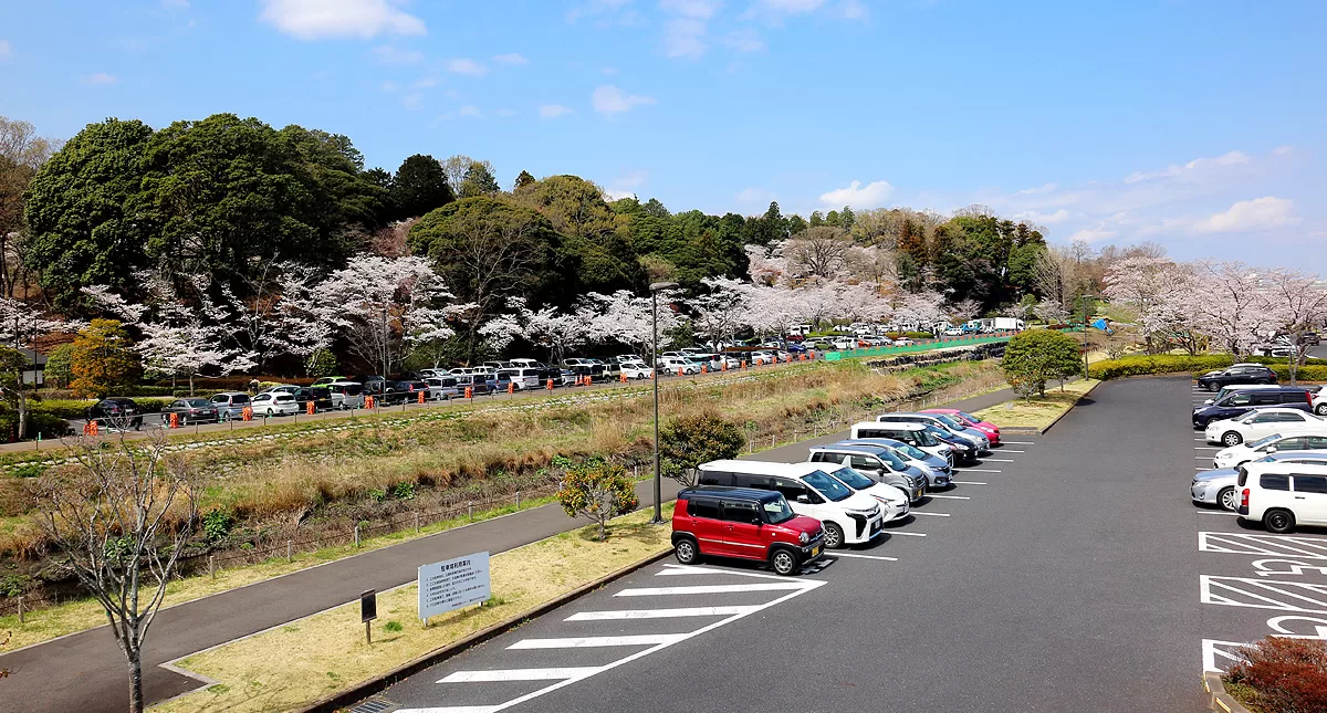 Japanese Garden,水戸市,日本庭園,Kairakuen,偕楽園,周辺,outskirts