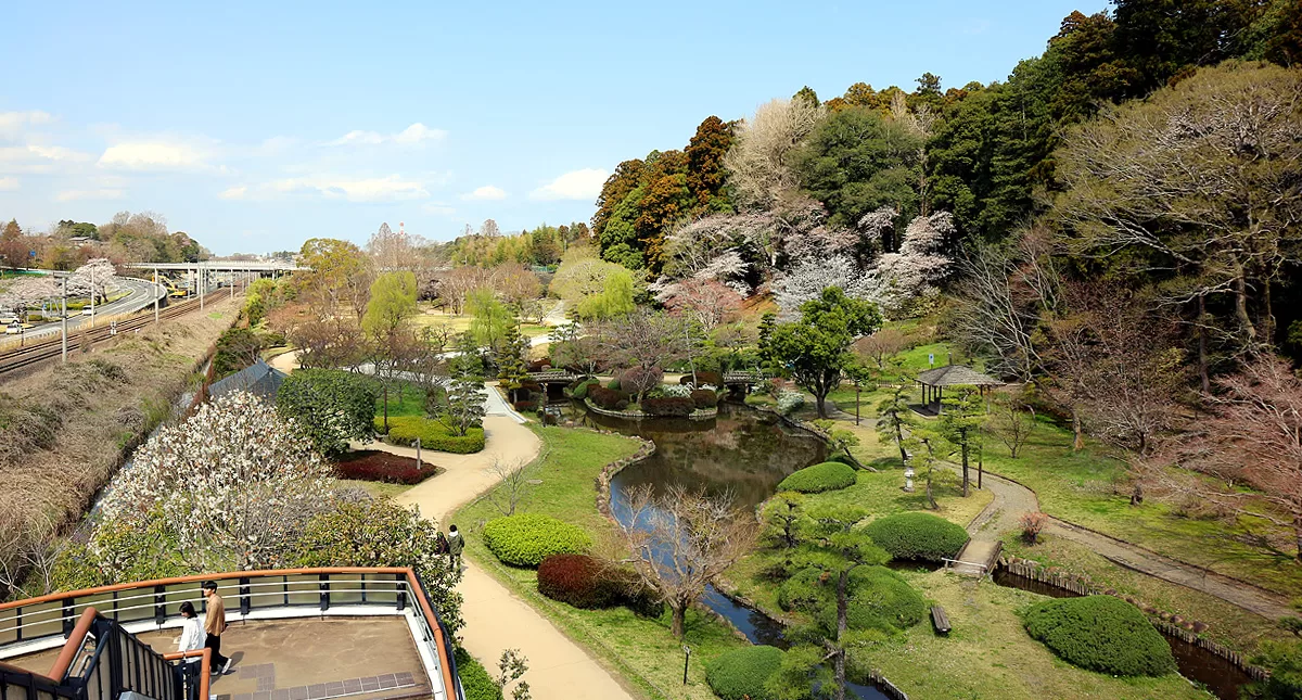 Japanese Garden,水戸市,日本庭園,Kairakuen,偕楽園,周辺,outskirts