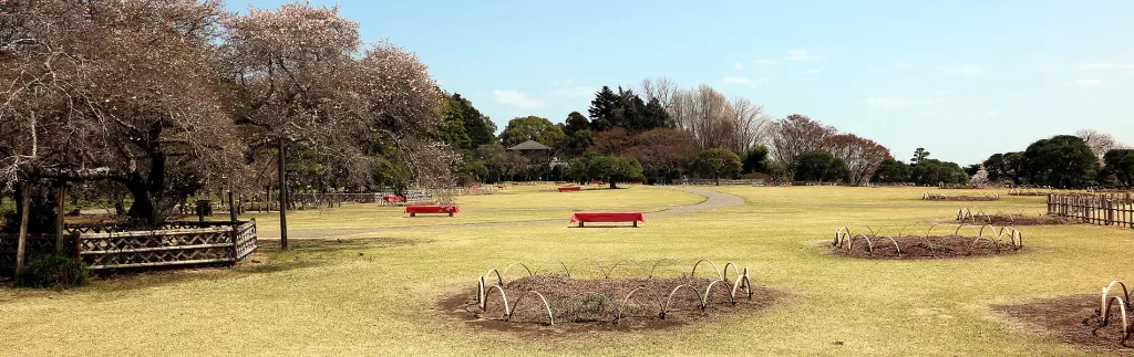Japanese Garden,水戸市,日本庭園,Kairakuen,偕楽園,竹林,Bamboo Forest