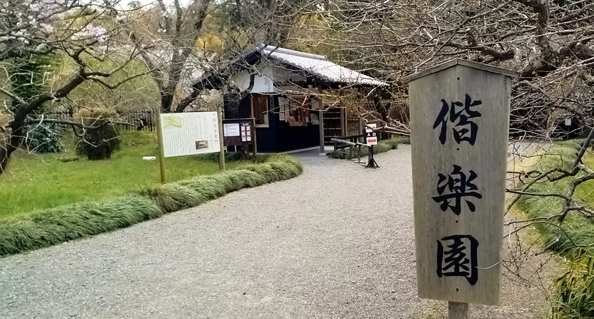 Japanese Garden,水戸市,日本庭園,Kairakuen,偕楽園,竹林,Bamboo Forest