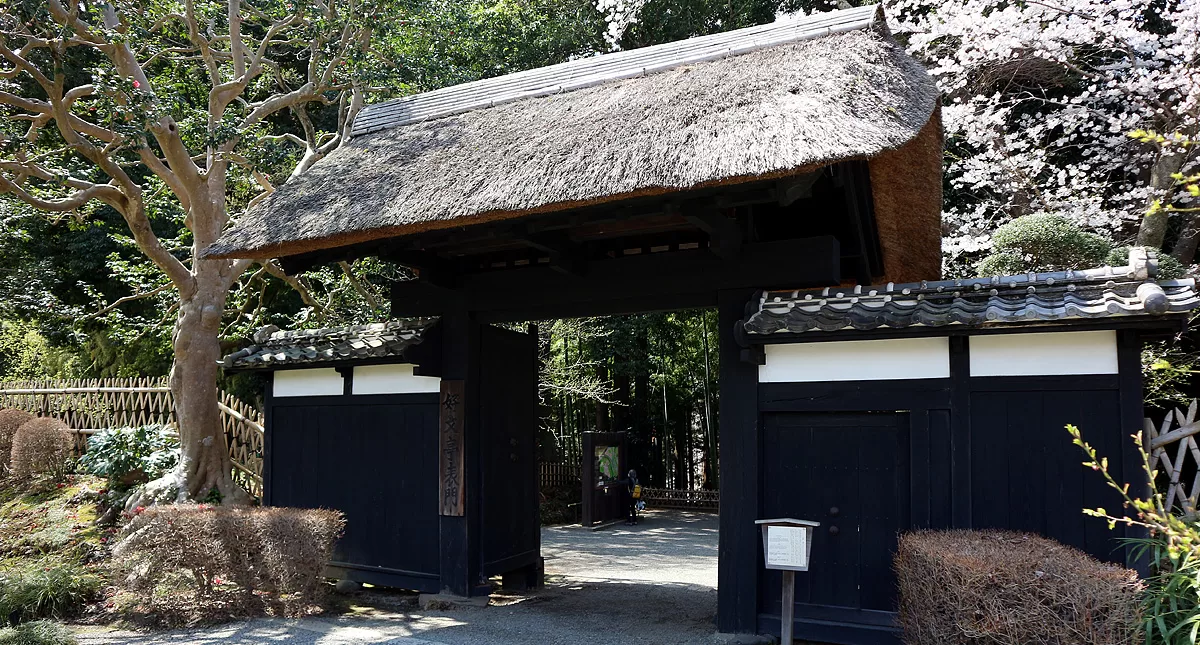Japanese Garden,水戸市,日本庭園,Kairakuen,偕楽園,竹林,Bamboo Forest