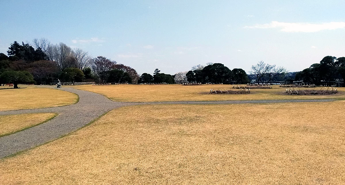 Japanese Garden,水戸市,日本庭園,Kairakuen,偕楽園,竹林,Bamboo Forest