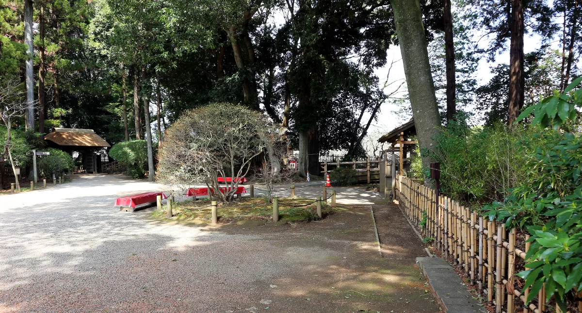 Japanese Garden,水戸市,日本庭園,Kairakuen,偕楽園,竹林,Bamboo Forest